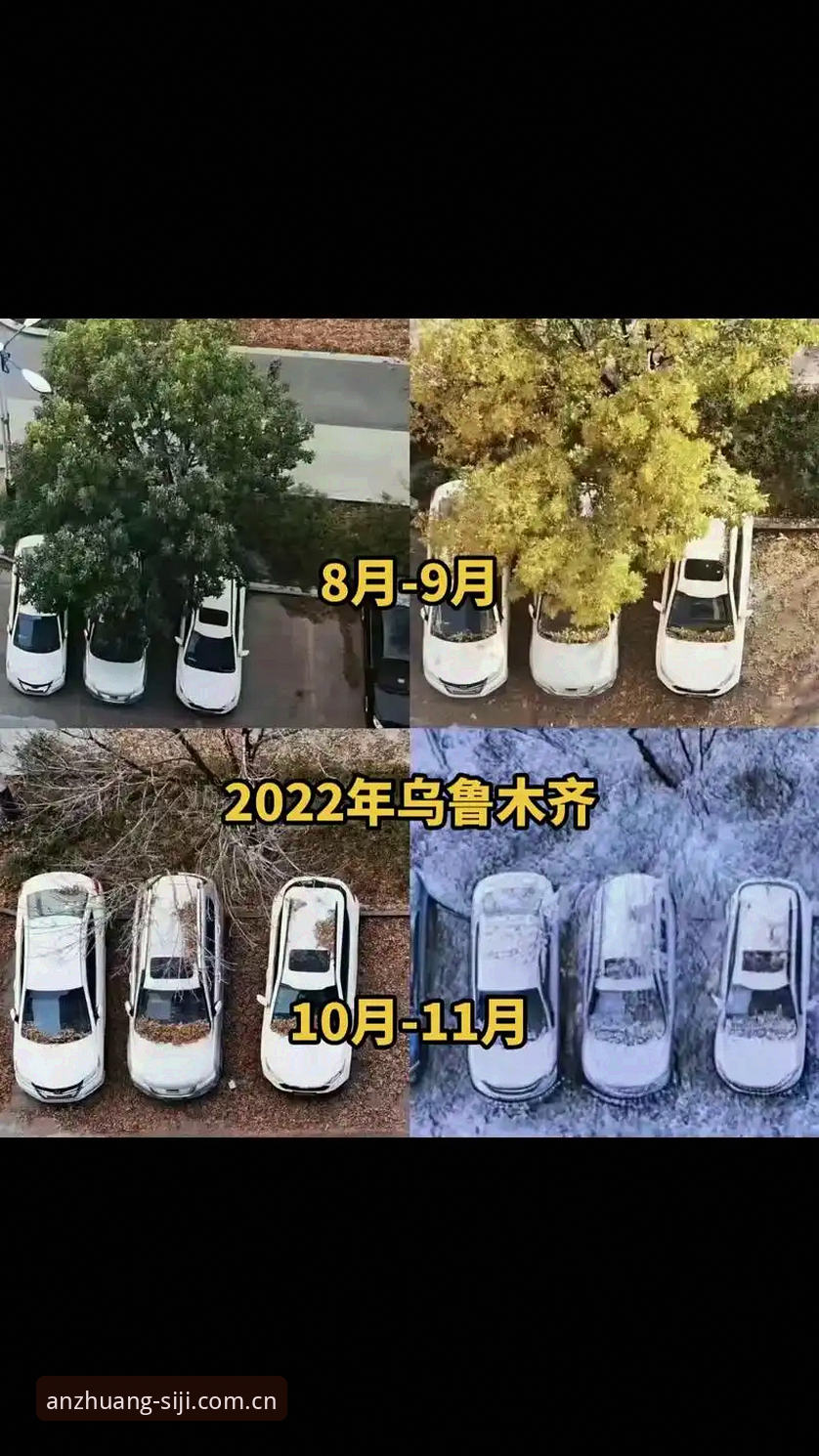 四季官方安装中国站：为什么你装了三个月还没看到最新赛事数据